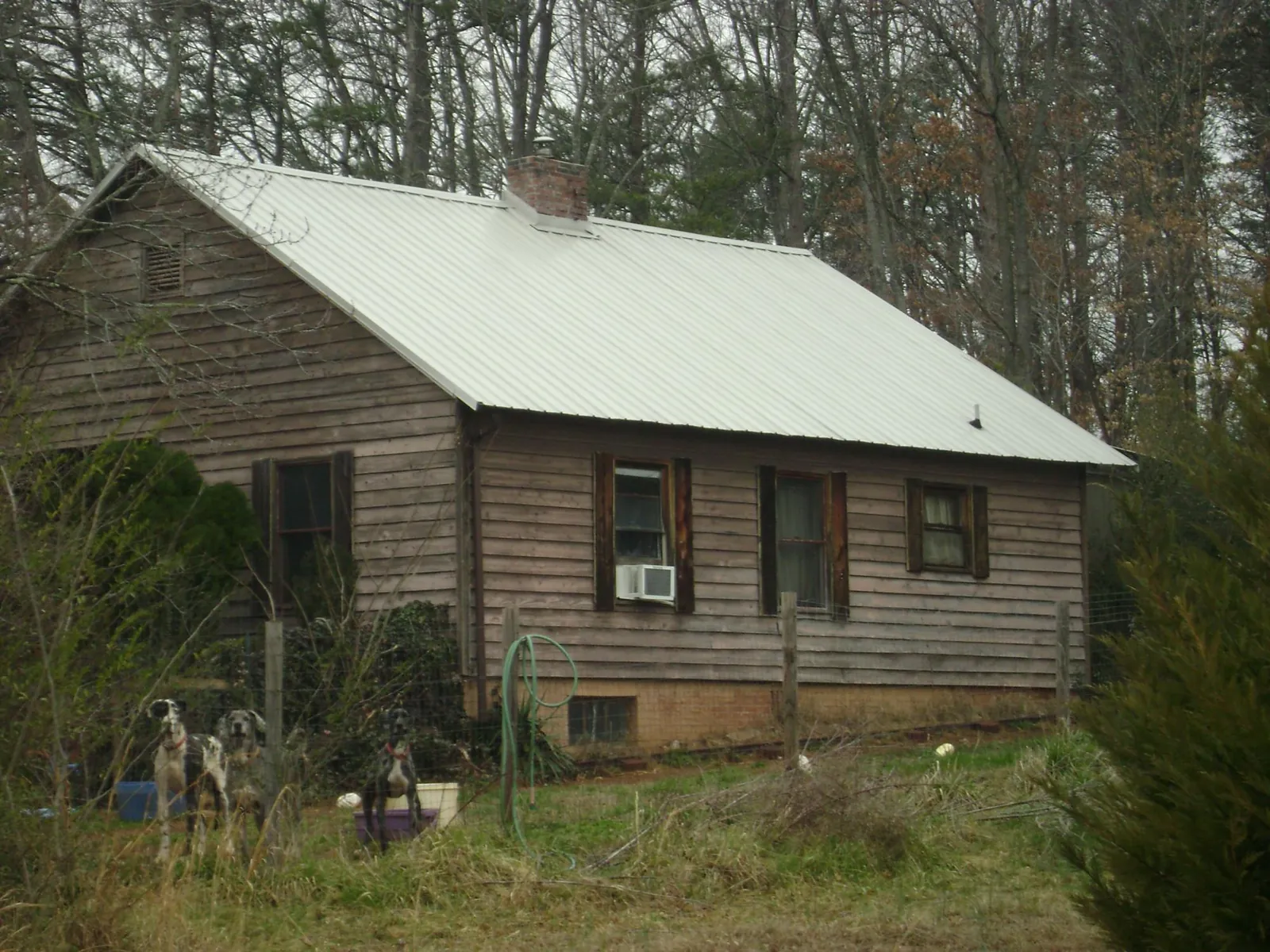 White metal roof on an old wood sided farmhouse, from a Asphalt Shingle Roof Repair job in Port Charlotte